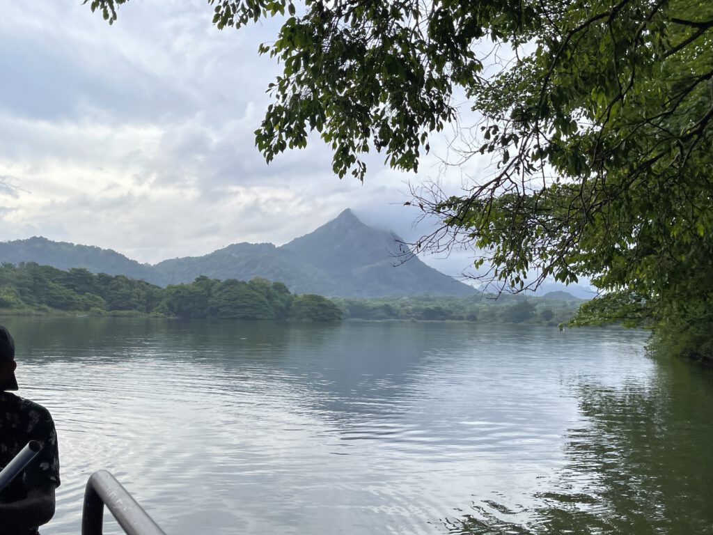 Spiegeln